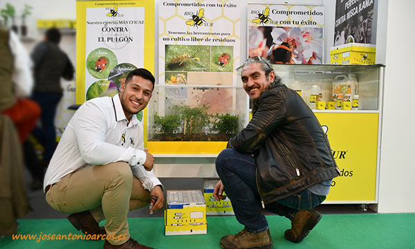 Colmenas de abejorros de Biosur en Agroexpo 2020 en Don Benito. /joseantonioarcos.es