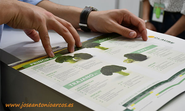 Catálogo de brócoli de Clause. /joseantonioarcos.es