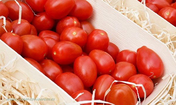 Tomate cherry Ferdinand de Semillas Fitó-joseantonioarcos.es