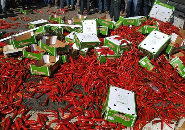 Los agricultores en Jaén queman cajas de hortalizas de un camión de Marruecos.