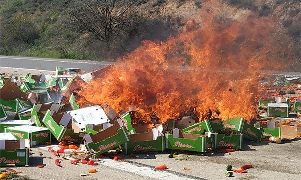 Los agricultores en Jaén queman cajas de hortalizas de un camión de Marruecos. /joseantonioarcos.es