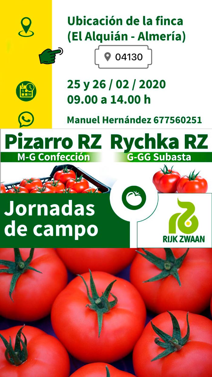 Jornadas de tomate Piazrro y tomate Rychka de Rijk Zwaan-joseantonioarcos.es
