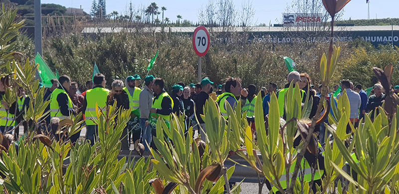 Los freseros de Huelva cortan la autovía de Portugal por la crisis del campo. /joseantonioarcos.es