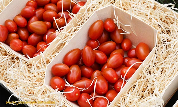 Tomate cherry pera Solemio