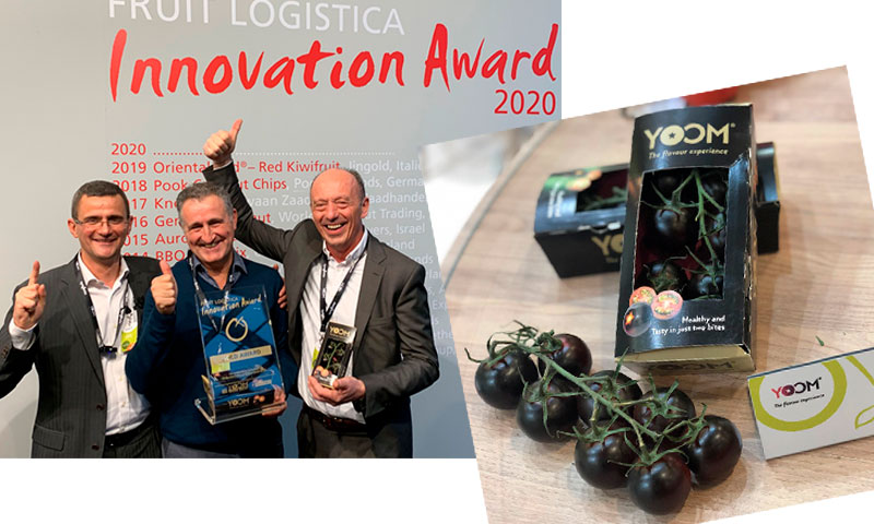 El tomate morado YOOM ™ de Syngenta ha ganado el prestigioso premio de oro en los Fruit Logistica Innovation Awards 2020-joseantonioarcos.es