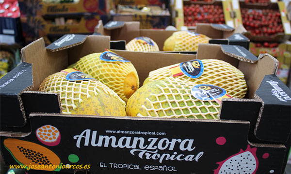 Papaya almeriense en Mercabarna. /joseantonioarcos.es