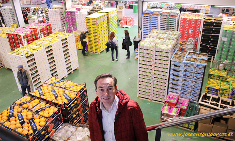 Pere Prats, vicepresidente del gremio de mayoristas de frutas y hortalizas de Mercabarna (AGEM). /joseantonioarcos.es