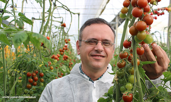 Antonio Montoro, breeder de tomate, con Black Panther. /joseantonioarcos.es