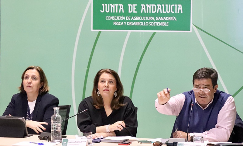 Carmen Crespo, consejera de Agricultura de la Junta de Andalucía. /joseantonioarcos.es