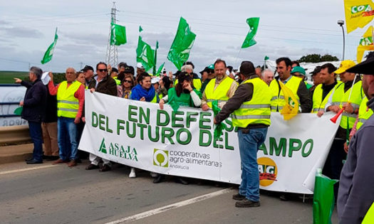 #AgricultoresAlLímite en Huelva protestan por los bajos precios. /joseantonioarcos.es
