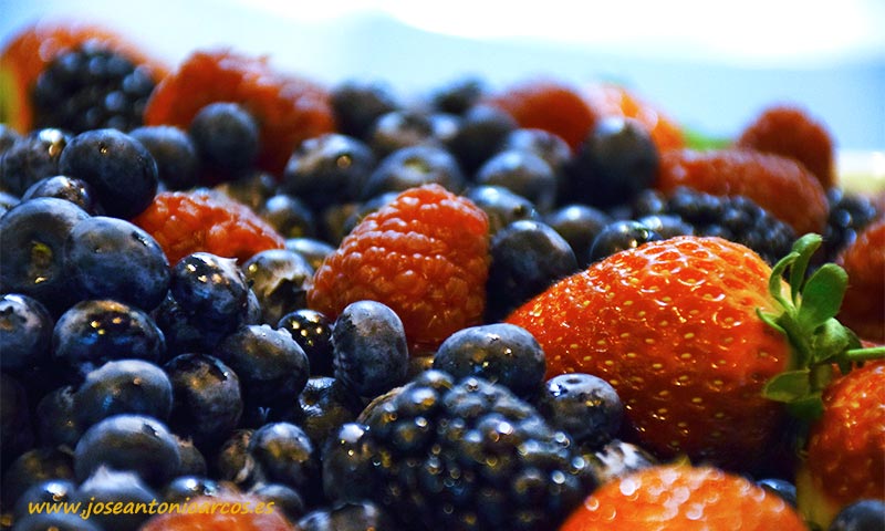 Ecoculture fomenta el consumo de frutos rojos al ser estos una gran fuente de antioxidantes y vitamina C-joseantonioarcos.es