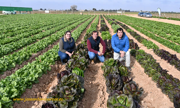 Lidia Alcubierre, junior breeder; Jesús Bayano, desarrollo de cultivos de hoja; y Lorenzo Castillo, breeder de lechuga. /joseantonioarcos.es
