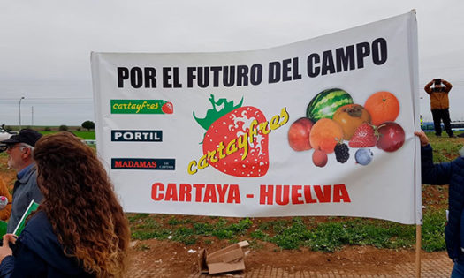 #AgricultoresAlLímite en Huelva protestan por los bajos precios. /joseantonioarcos.es