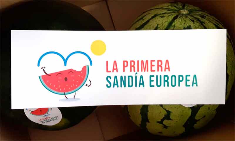 La primera sandía europea sale de Almería. Hortiespaña y Coexphal. /joseantonioarcos.es
