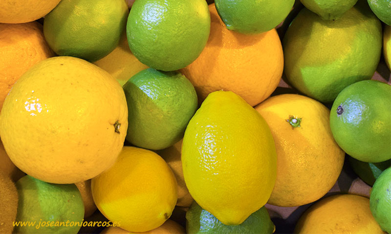 Cítricos, naranjas y limones. /joseantonioarcos.es