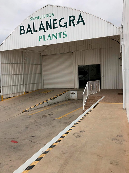 Hortocampo adquiere Semilleros Balanegra Plants. /joseantonioarcos.es