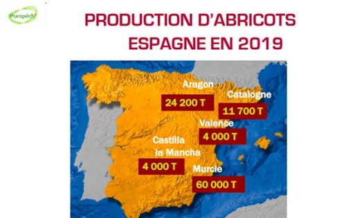 Producción española de albaricoques en la campaña de 2019. /joseantonioarcos.es