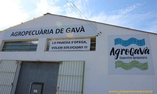 Cooperativa Agropecuaria de Gavá. AgroGavá. /joseantonioarcos.es