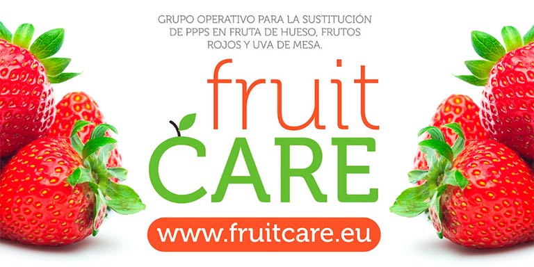 Proyecto de innovación FruitCare-joseantonioarcos.es