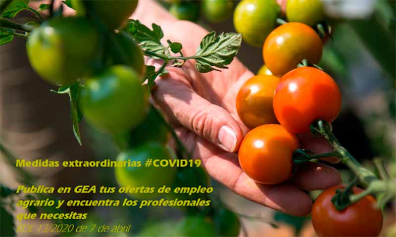 GEA. Gestión de Empleo Agrario. Covid19. Coronavirus. /joseantonioarcos.es
