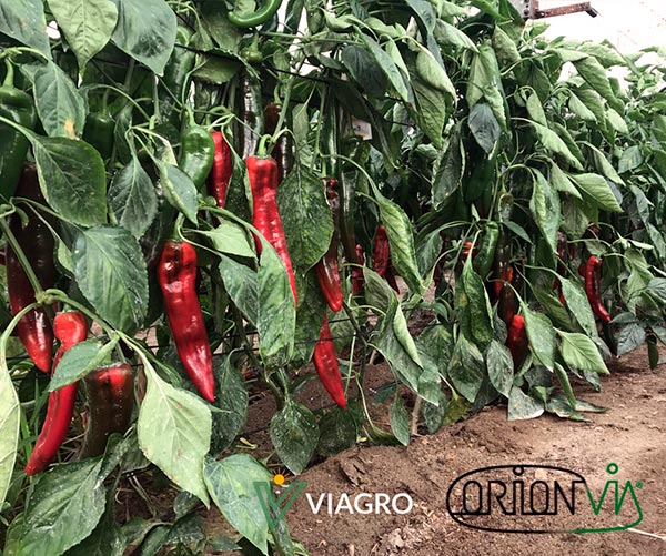 fertilizante con tecnología ORION-VIA-joseantonioarcos.es