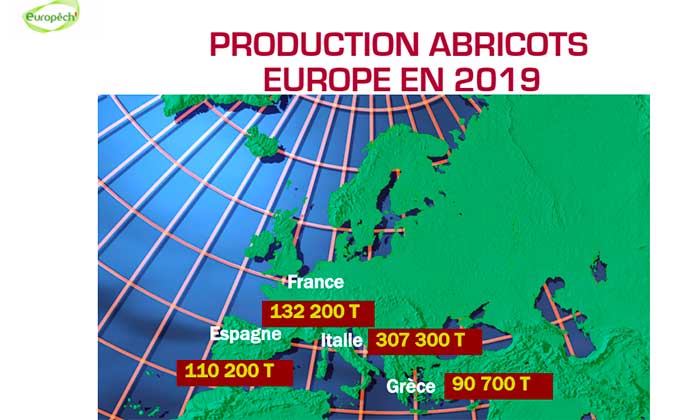 Producción europea de albaricoques durante 2019. /joseantonioarcos.es