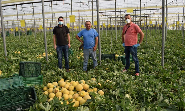 Antonio Almodóvar con José Antonio y Emilio, agricultor y técnico de MABE. /joseantonioarcos.es