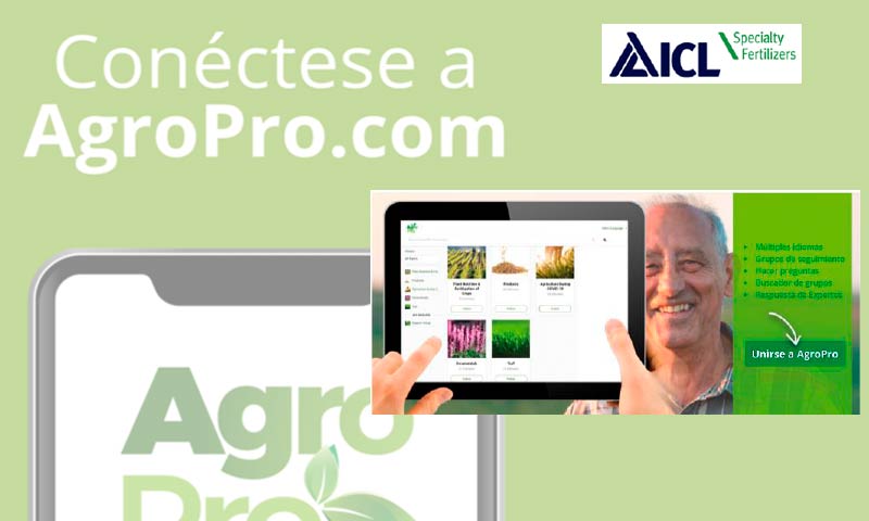 ICL crea AgroPro, un servicio global en línea de información nutricional de cultivos-joseantonioarcos.es