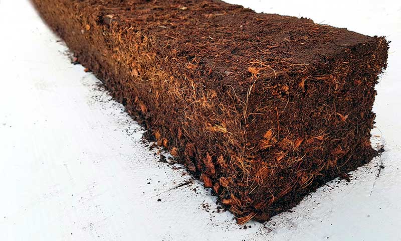 Una de las apuestas de Projar es la placa de fibra de coco Balance, pensada para suelos pesados donde la capacidad de aireación es limitada-joseantonioarcos.es